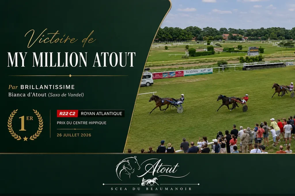 My Million Atout de bout en bout !