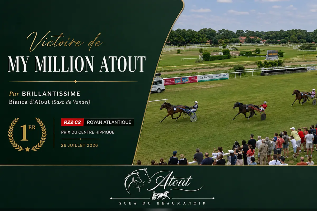 My Million Atout de bout en bout !